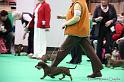 Crufts2011_2 1495